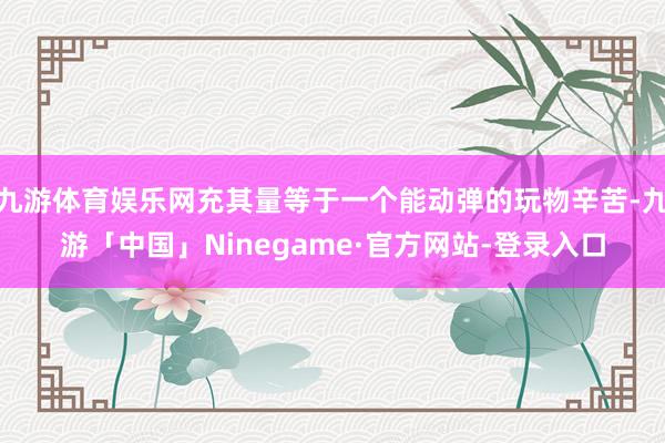 九游体育娱乐网充其量等于一个能动弹的玩物辛苦-九游「中国」N
