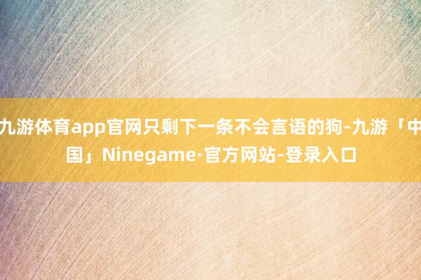 九游体育app官网只剩下一条不会言语的狗-九游「中国」Nin