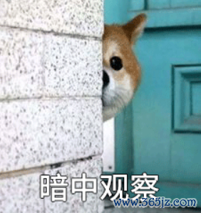 九游体育app娱乐）      -九游「中国」Ninegam